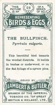 1906 Lambert & Butler Representing Birds & Eggs #25 The Bullfinch Back