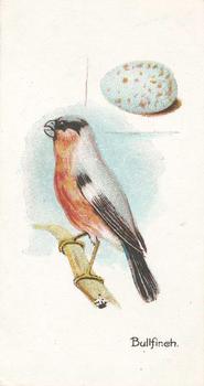 1906 Lambert & Butler Representing Birds & Eggs #25 The Bullfinch Front