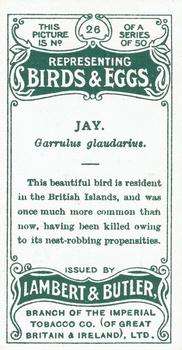 1906 Lambert & Butler Representing Birds & Eggs #26 Jay Back