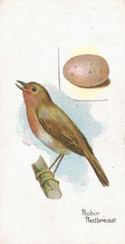 1906 Lambert & Butler Representing Birds & Eggs #28 Robin Redbreast Front