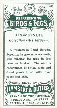 1906 Lambert & Butler Representing Birds & Eggs #29 Hawfinch Back