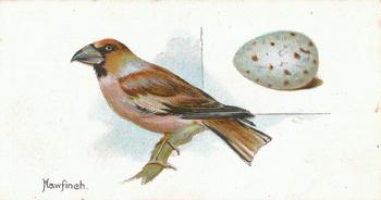 1906 Lambert & Butler Representing Birds & Eggs #29 Hawfinch Front