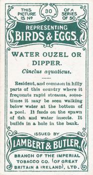1906 Lambert & Butler Representing Birds & Eggs #30 Water Ouzel or Dipper Back