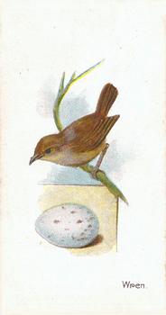 1906 Lambert & Butler Representing Birds & Eggs #31 Wren Front