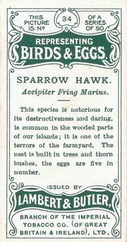 1906 Lambert & Butler Representing Birds & Eggs #34 Sparrow Hawk Back