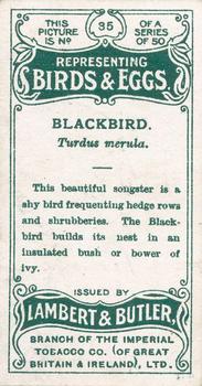 1906 Lambert & Butler Representing Birds & Eggs #35 Blackbird Back