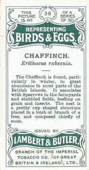 1906 Lambert & Butler Representing Birds & Eggs #36 Chaffinch Back