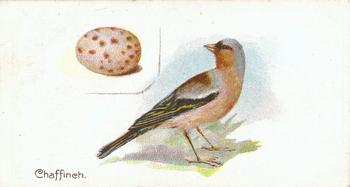 1906 Lambert & Butler Representing Birds & Eggs #36 Chaffinch Front