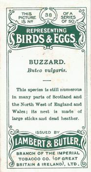 1906 Lambert & Butler Representing Birds & Eggs #38 Buzzard Back