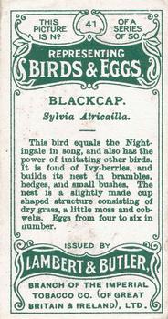 1906 Lambert & Butler Representing Birds & Eggs #41 Blackcap Back