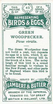 1906 Lambert & Butler Representing Birds & Eggs #42 Green Woodpecker Back