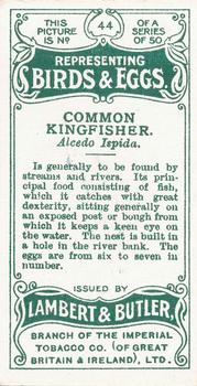 1906 Lambert & Butler Representing Birds & Eggs #44 Common Kingfisher Back