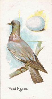 1906 Lambert & Butler Representing Birds & Eggs #45 Wood Pigeon Front