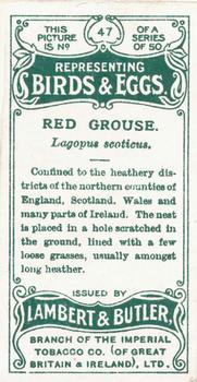 1906 Lambert & Butler Representing Birds & Eggs #47 Red Grouse Back