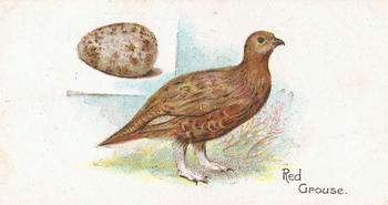 1906 Lambert & Butler Representing Birds & Eggs #47 Red Grouse Front