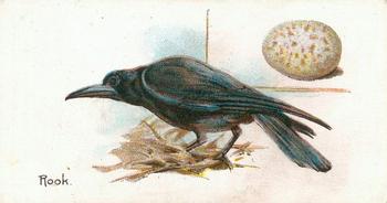 1906 Lambert & Butler Representing Birds & Eggs #49 Rook Front