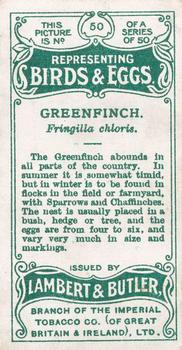 1906 Lambert & Butler Representing Birds & Eggs #50 Greenfinch Back