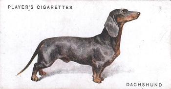 1931 Player's Dogs (A. Wardle Paintings) #10 Dachshund Front