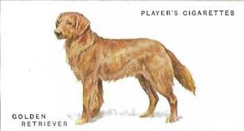1931 Player's Dogs (A. Wardle Paintings) #25 Golden Retriever Front