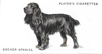 1931 Player's Dogs (A. Wardle Paintings) #33 Cocker Spaniel Front
