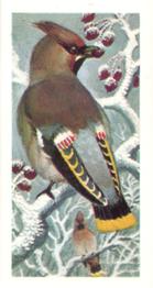 1973 Brooke Bond Wild Birds in Britain #1 Waxwing Front