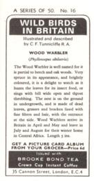 1973 Brooke Bond Wild Birds in Britain #16 Wood Warbler Back