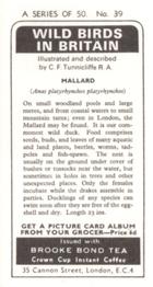 1973 Brooke Bond Wild Birds in Britain #39 Mallard Back