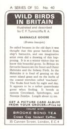 1973 Brooke Bond Wild Birds in Britain #40 Barnacle Goose Back