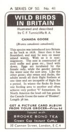 1973 Brooke Bond Wild Birds in Britain #41 Canada Goose Back