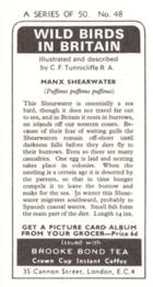 1973 Brooke Bond Wild Birds in Britain #48 Manx Shearwater Back