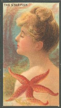 1903 British American Tobacco Actresses and Girls: Marine Girls (T440-T9) #NNO Starfish Front