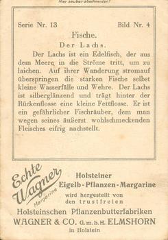 1928 Echte Wagner Fische (Fishes) Album 1, Serie 13 #4 Lachs Back
