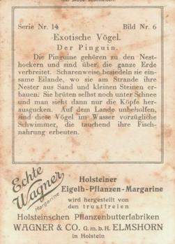 1928 Echte Wagner Exotische Vogel (Exotic Birds) Album 1, Serie 14 #6 Pinguin Back