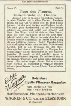 1929 Echte Wagner Tiere des Meeres (Animals of the Sea) Album 2, Serie 25 #3 Einsiedlerkrebs und Quallen Back