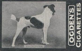 1902 Ogden's General Interest Series C #46 Velocipede Front