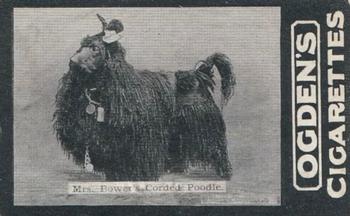 1902 Ogden's General Interest Series C #145 Mrs. Bower’s Corded Poodle Front