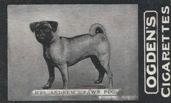 1902 Ogden's General Interest Series C #146 Mrs. Andrew’s Fawn Pug Front