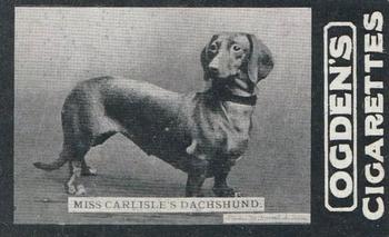 1902 Ogden's General Interest Series C #149 Miss Carlisle’s Dachshund Front