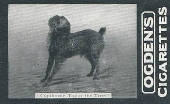 1902 Ogden's General Interest Series C #161 Copthrone Top-o-the-Tree Front