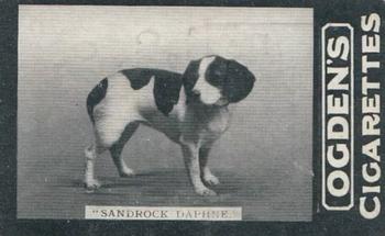 1902 Ogden's General Interest Series C #165 Sandrock Daphne Front