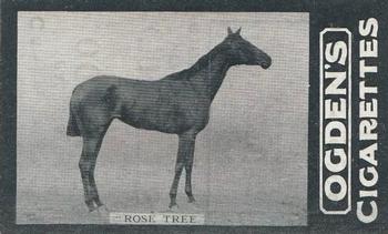 1902 Ogden's General Interest Series C #168 Rose Tree Front