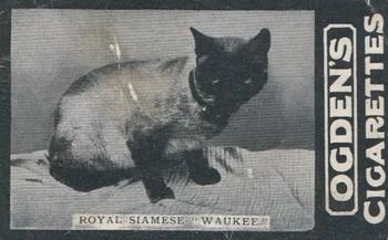 1902 Ogden's General Interest Series C #181 Royal Siamese Waukee Front