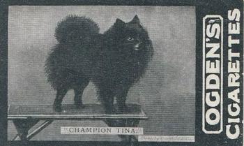 1902 Ogden's General Interest Series C #193 Champion Tina Front