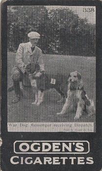 1902 Ogden's General Interest Series C #338 War Dog Messenger receiving Dispatch Front