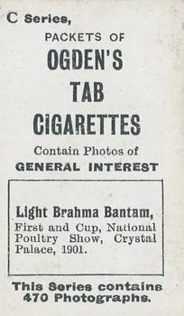 1902 Ogden's General Interest Series C #344 Champion Brahma Bantam Back