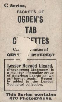 1902 Ogden's General Interest Series C #349 Lesser Horned Lizard Back