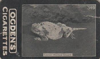 1902 Ogden's General Interest Series C #349 Lesser Horned Lizard Front