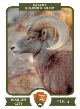 2016 National Park Service Centennial #52 Desert Bighorn Sheep Front