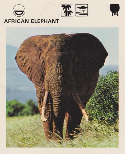 1975-80 Leisure Books Wildlife Treasury #6101-01 African Elephant Front