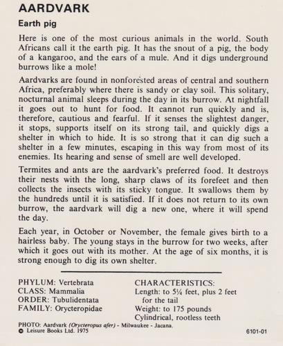 1975-80 Leisure Books Wildlife Treasury #6101-01 Aardvark Back